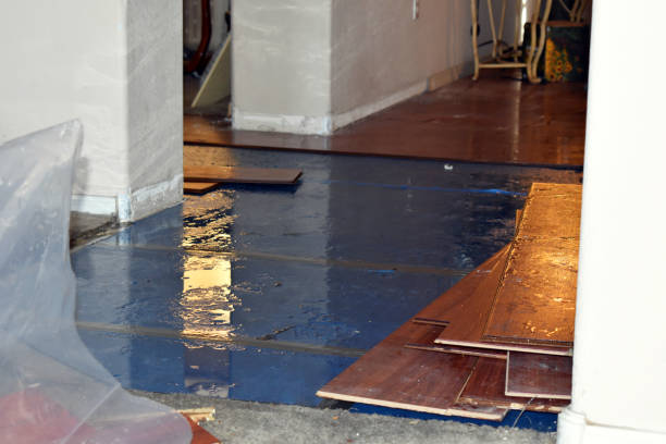 Professional Basement Flood Cleanup technician working in West Nottingham, NH